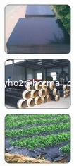 China El desicante es un masterbatch para absorber agua en el material de reciclaje PE-300. proveedor
