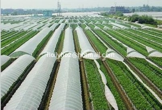 China Masterbatch de alta calidad de China, relleno de película agrícola proveedor